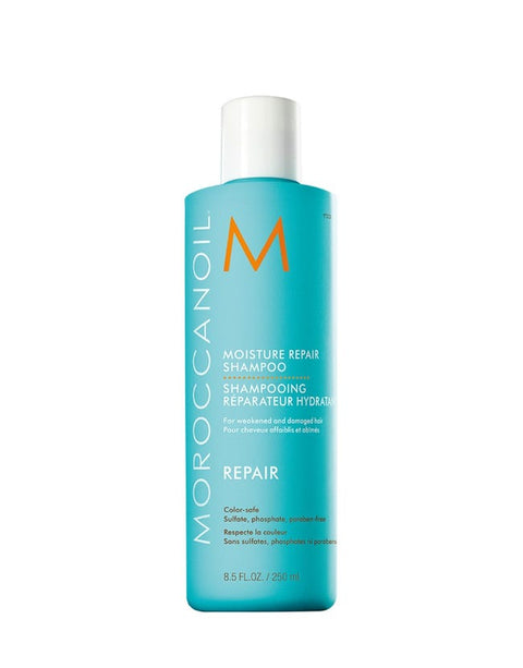 Morrocanoil Moisture Repair Shampoo